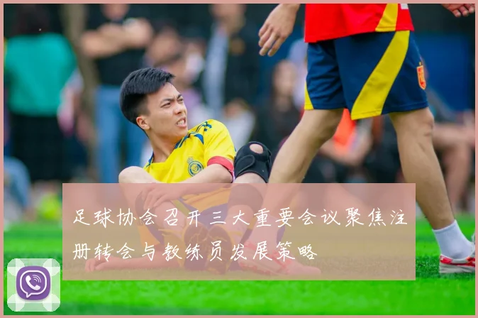 足球协会召开三大重要会议聚焦注册转会与教练员发展策略