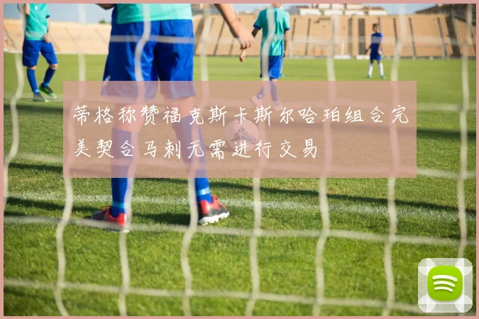 蒂格称赞福克斯卡斯尔哈珀组合完美契合马刺无需进行交易