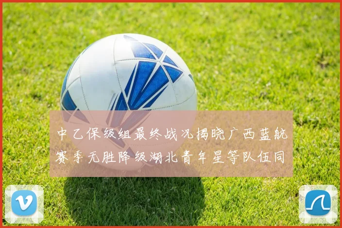 中乙保级组最终战况揭晓广西蓝航赛季无胜降级湖北青年星等队伍同遭降级